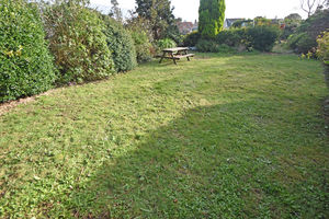 Hidden Garden- click for photo gallery